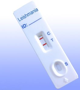 prueba rápida de Leishmania