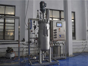 biorreactor de laboratorio