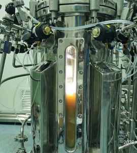 biorreactor de laboratorio