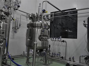 biorreactor de laboratorio
