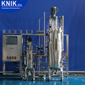 biorreactor de laboratorio