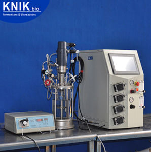 biorreactor de laboratorio
