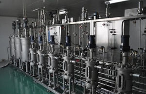 biorreactor batch