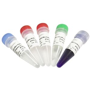 reactivo anticuerpo monoclonal