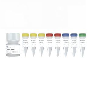 kit de reactivos en solución 1