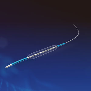 catéter PTCA 1