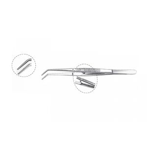 pinza dental endodóntica