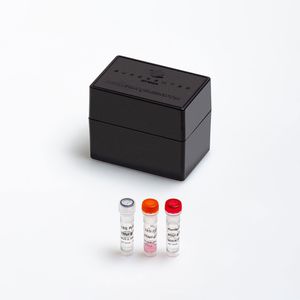 kit de reactivos enzima