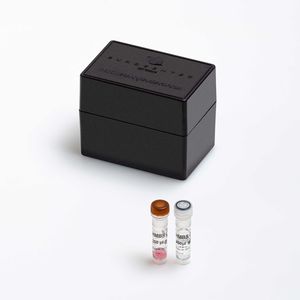 kit de reactivos enzima