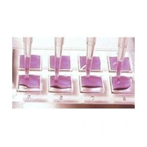 placa de microarray para PCR