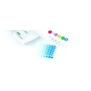 kit de reactivos enzima