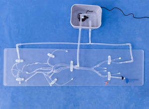 modelo vascular intracraneal 1