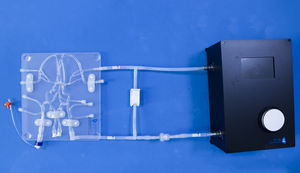 modelo vascular de arteria carótida 1