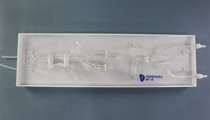 modelo vascular intracraneal 1
