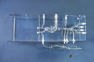 modelo vascular cardíaco 1