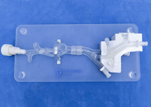 modelo anatómico cardíaco 1