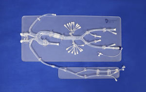 modelo anatómico abdominal 1