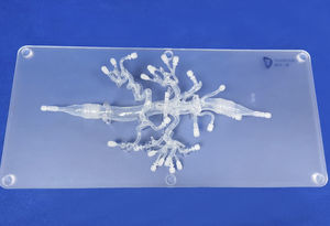 modelo anatómico de arteria 1