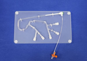 modelo anatómico de arterias coronarias 1