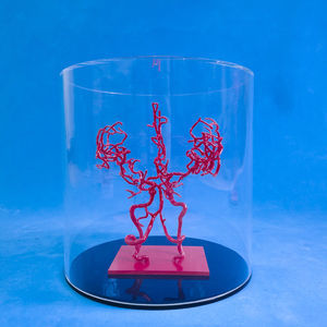 modelo vascular cerebral 1