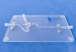 modelo vascular de vasos sanguíneos 1