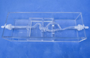 modelo vascular de arteria 1