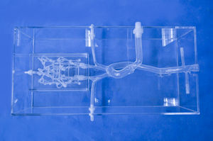 modelo vascular intracraneal 1