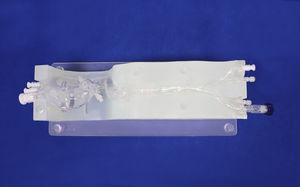 modelo vascular cardíaco 1
