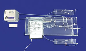 modelo vascular del polígono de Willis