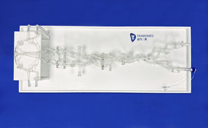 modelo vascular de arteria 1