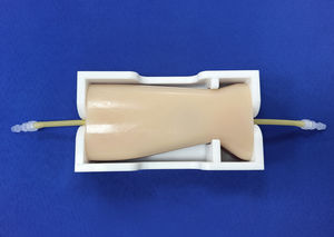modelo vascular de arteria femoral 1