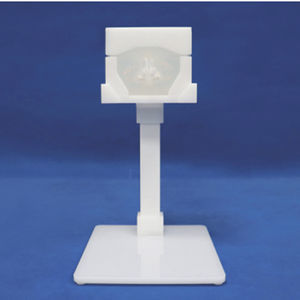 modelo vascular de vasos sanguíneos 1