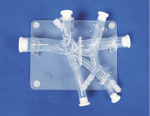 modelo vascular abdominal 1