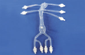modelo vascular abdominal 1
