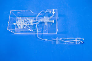 modelo vascular intracraneal 1