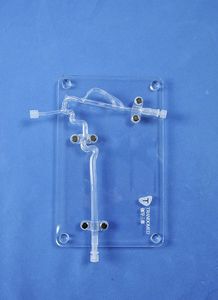 modelo anatómico de arteria 1