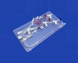 modelo vascular de arteria 1