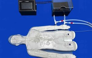 modelo vascular de cuerpo entero 1