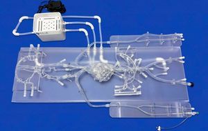 modelo vascular de neurocirugía 1