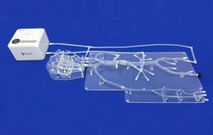 modelo vascular para neurología 1