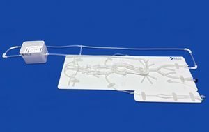 modelo vascular de cerebro 1