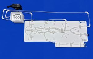 modelo vascular intracraneal 1