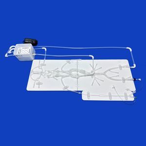 modelo vascular intracraneal