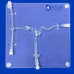modelo vascular de arteria carótida