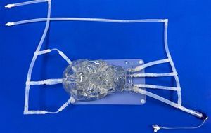 modelo vascular de arteria intracraneal 1