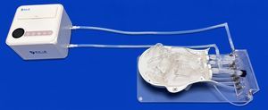 modelo vascular de la arteria carótida externa 1