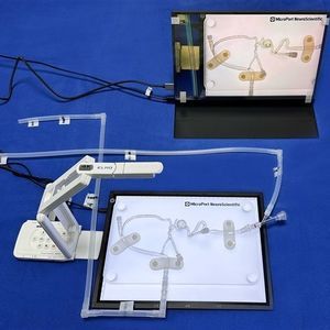 modelo vascular de sistema nervioso 1