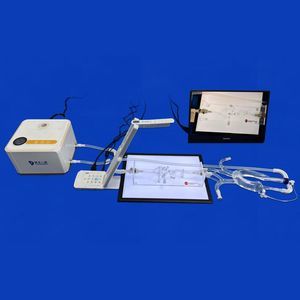 modelo vascular cerebral 1