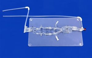modelo vascular intracraneal 1