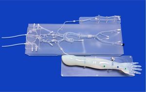 modelo vascular de arteria femoral
